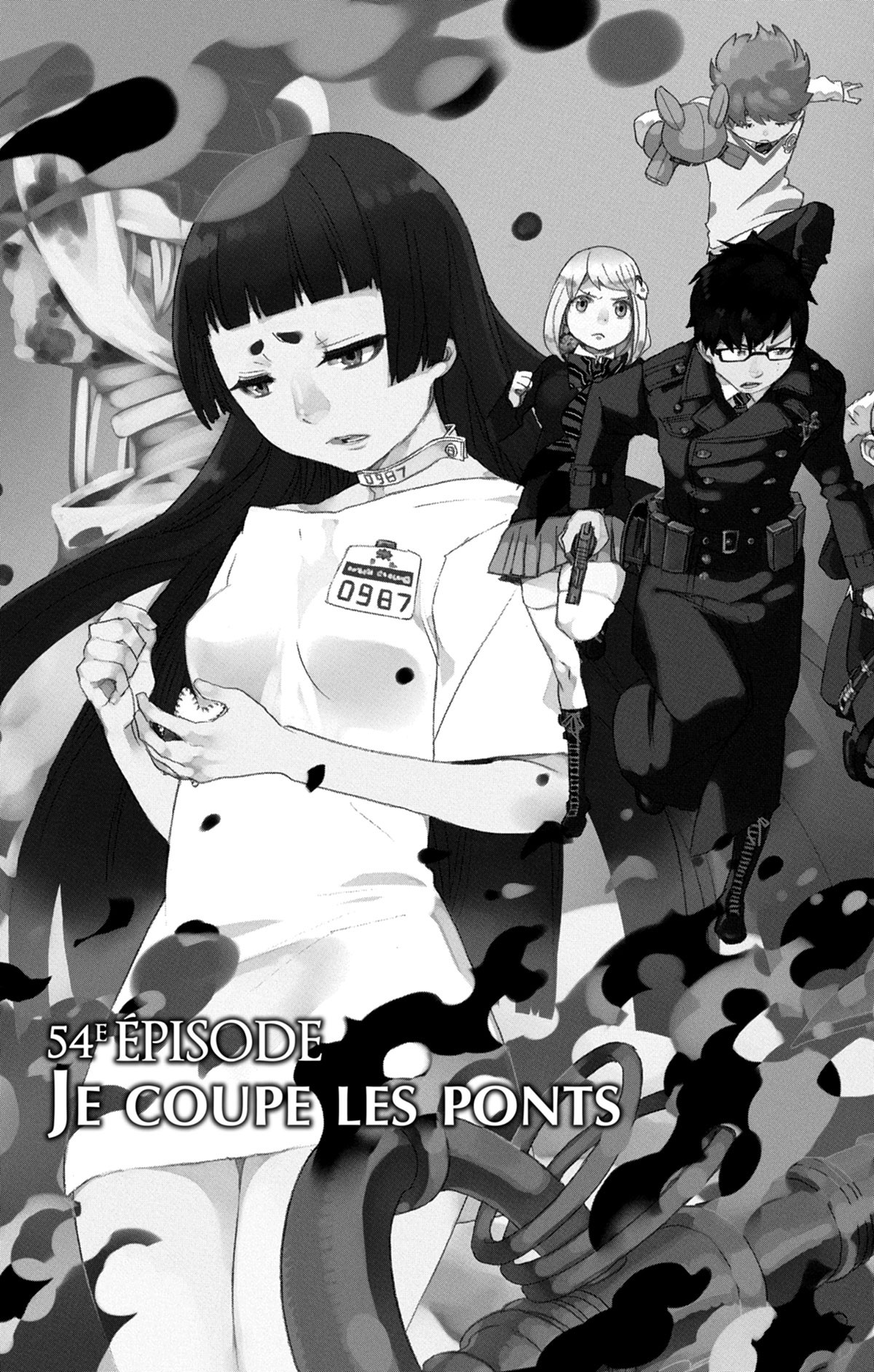Read Ao No Exorcist fr Manga Online