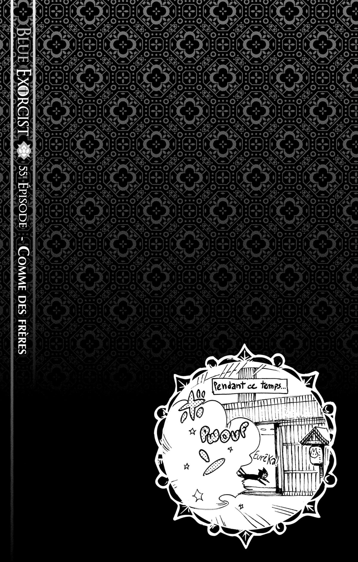 Read Ao No Exorcist fr Manga Online