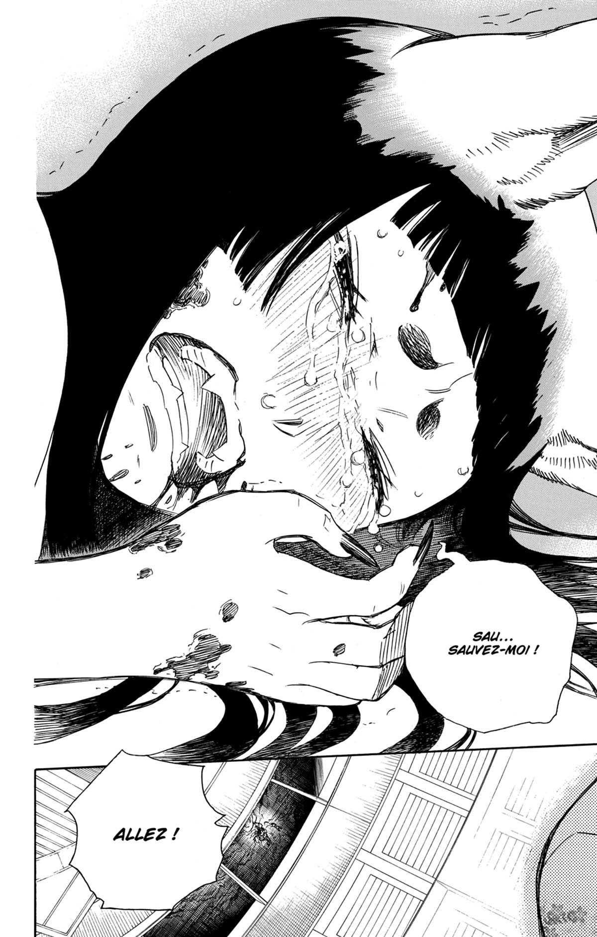 Read Ao No Exorcist fr Manga Online