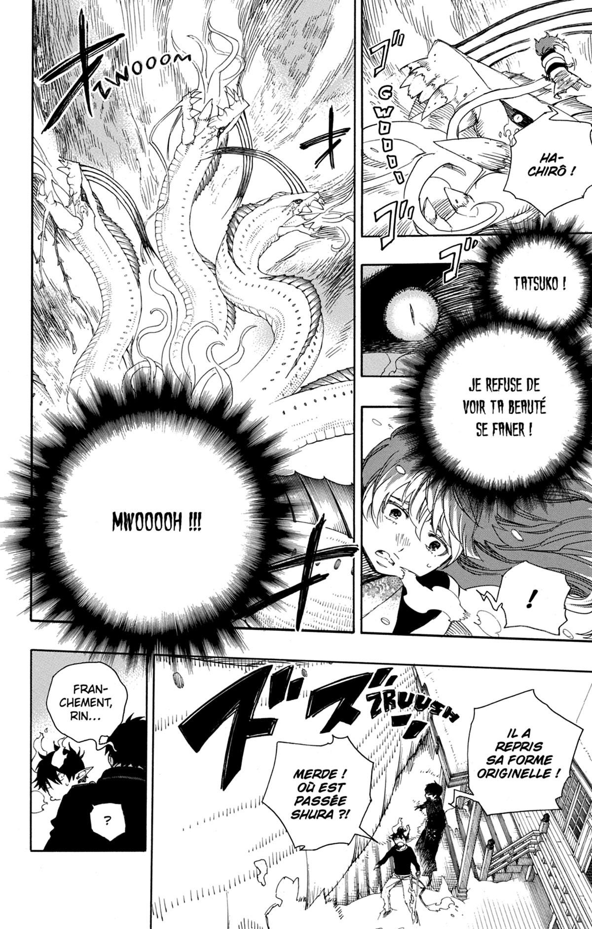 Read Ao No Exorcist fr Manga Online