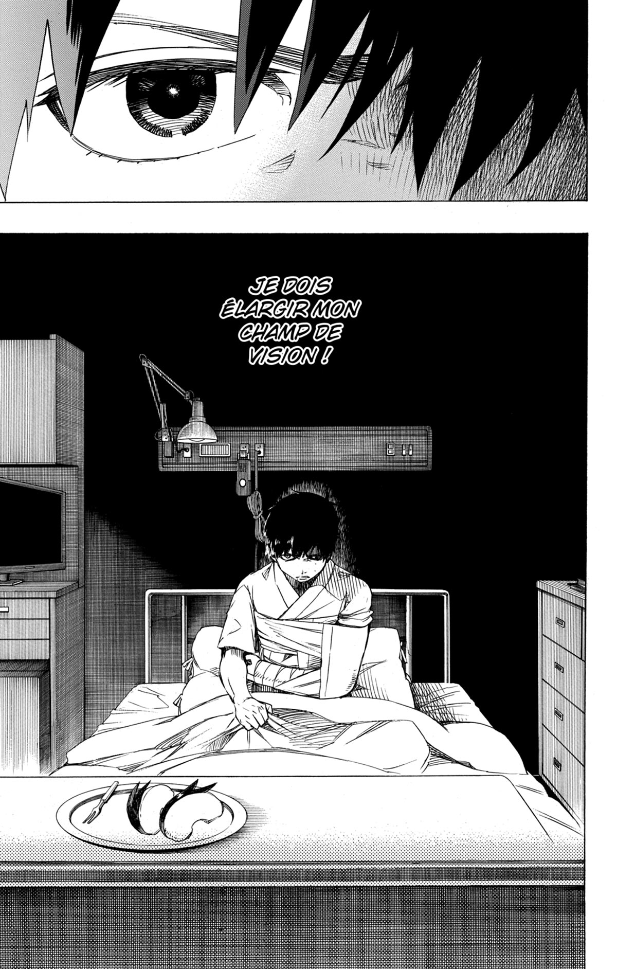 Read Ao No Exorcist fr Manga Online