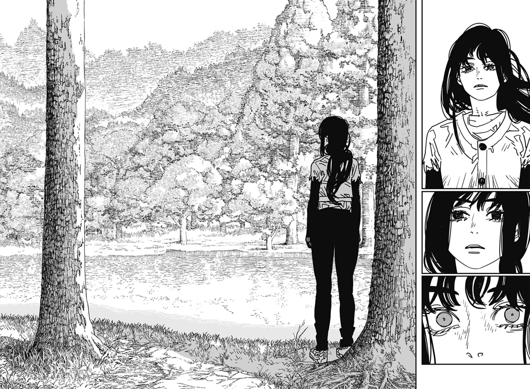 Read Chainsaw Man pt Manga Online